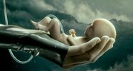 Сериал Воспитанные волками - Мечтают ли андроиды быть родителями?